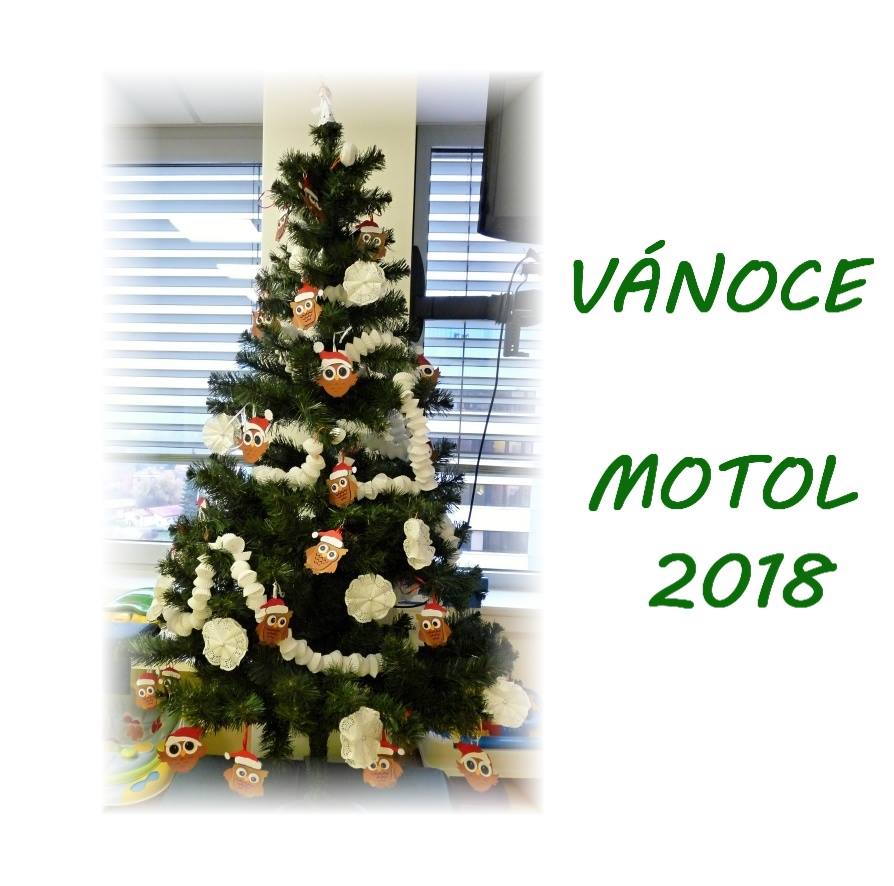 Vnoce Motol 2018